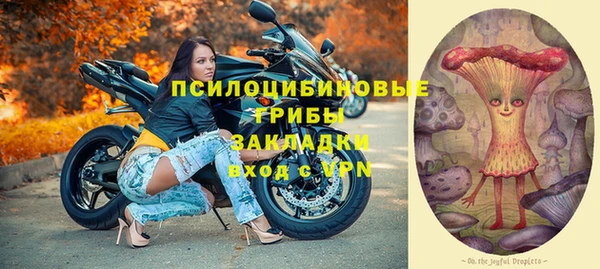 молекула духа Киселёвск
